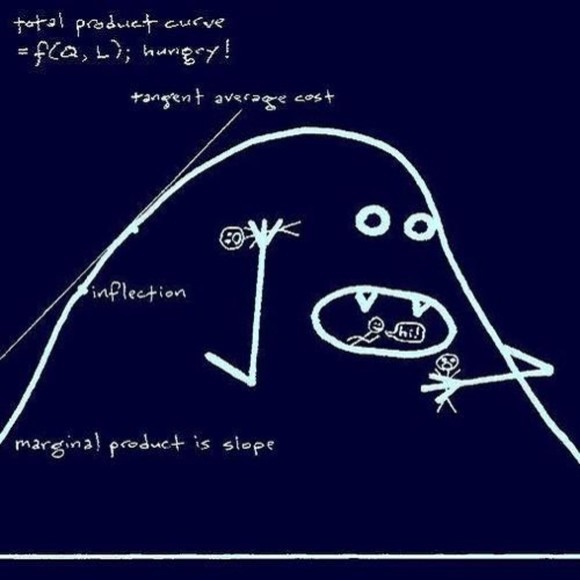 Meet your Posher, Christopher - Picture 1 of 1